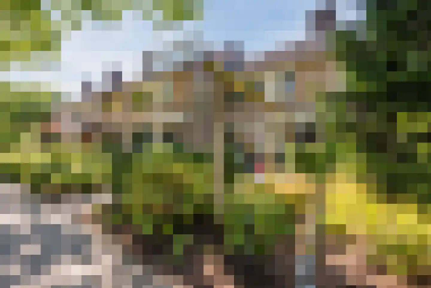 Maximiliaanlaan 28 Waalre thumbnail 46