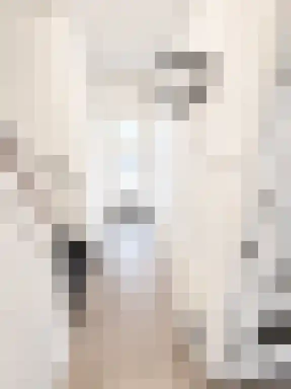 Maximiliaanstraat 13 Eindhoven thumbnail 4