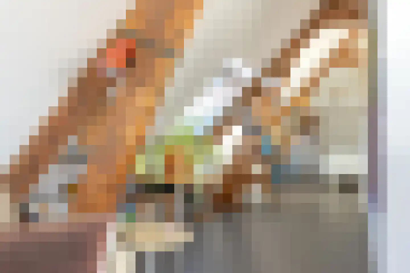 Maximiliaanstraat 19 D Rotterdam thumbnail 20