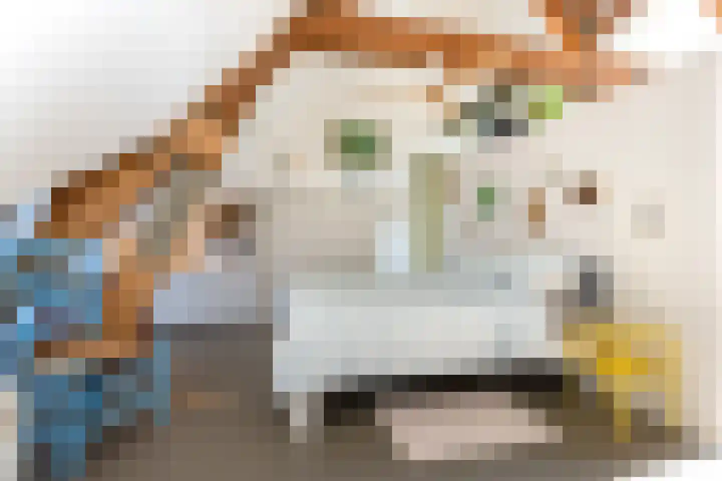 Maximiliaanstraat 19 D Rotterdam thumbnail 21