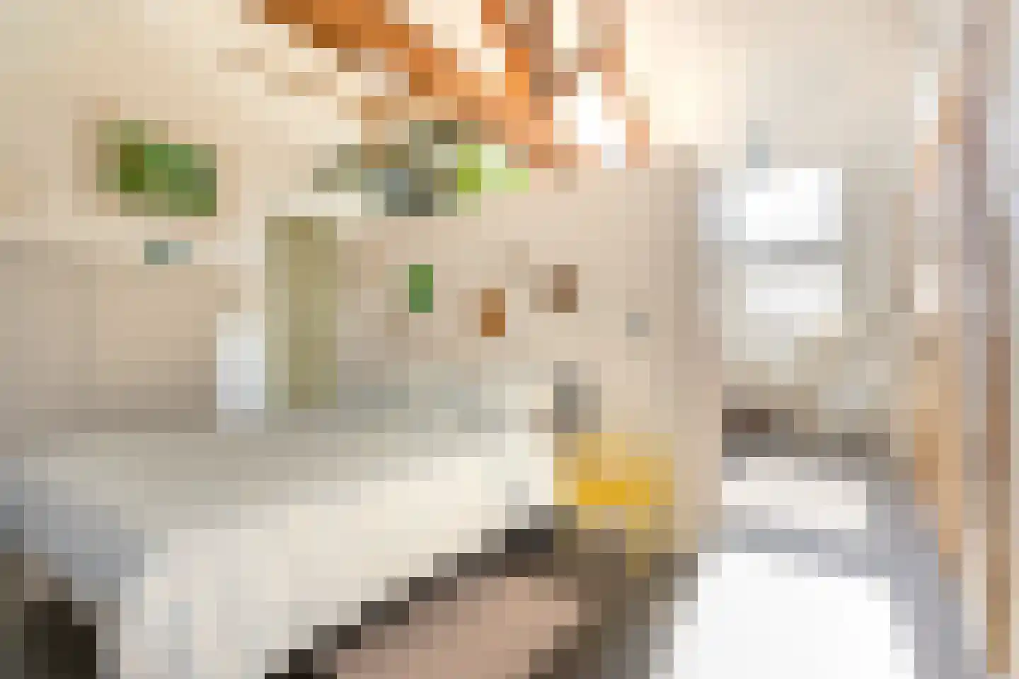 Maximiliaanstraat 19 D Rotterdam thumbnail 25