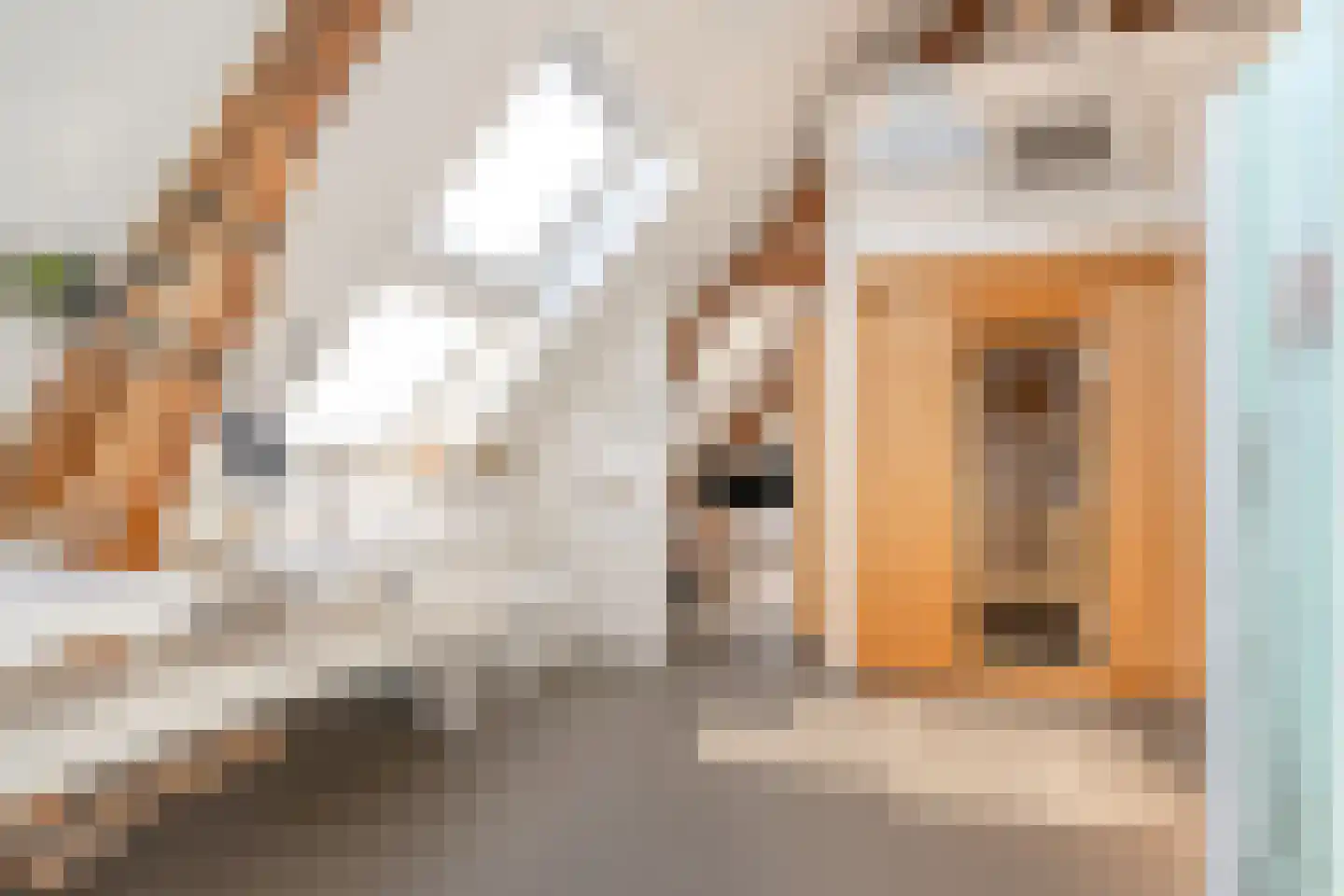 Maximiliaanstraat 19 D Rotterdam thumbnail 29