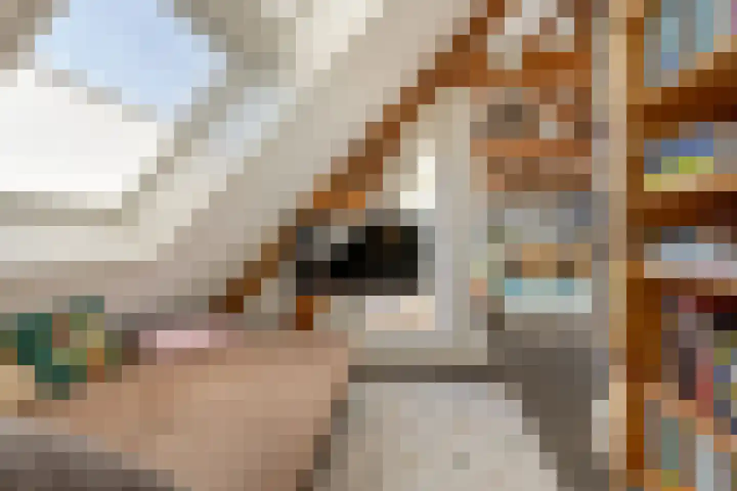 Maximiliaanstraat 19 D Rotterdam thumbnail 32