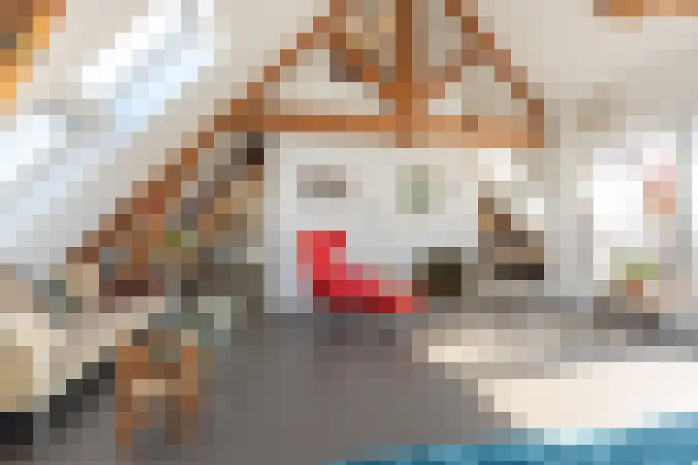 Maximiliaanstraat 19 D Rotterdam thumbnail 9
