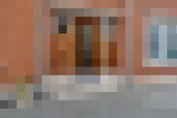 Maximiliaanstraat 23 B Rotterdam thumbnail 4