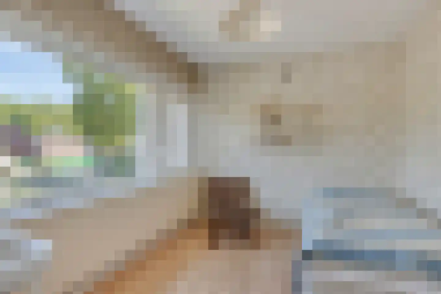 Maximiliaanstraat 27 Eindhoven thumbnail 23
