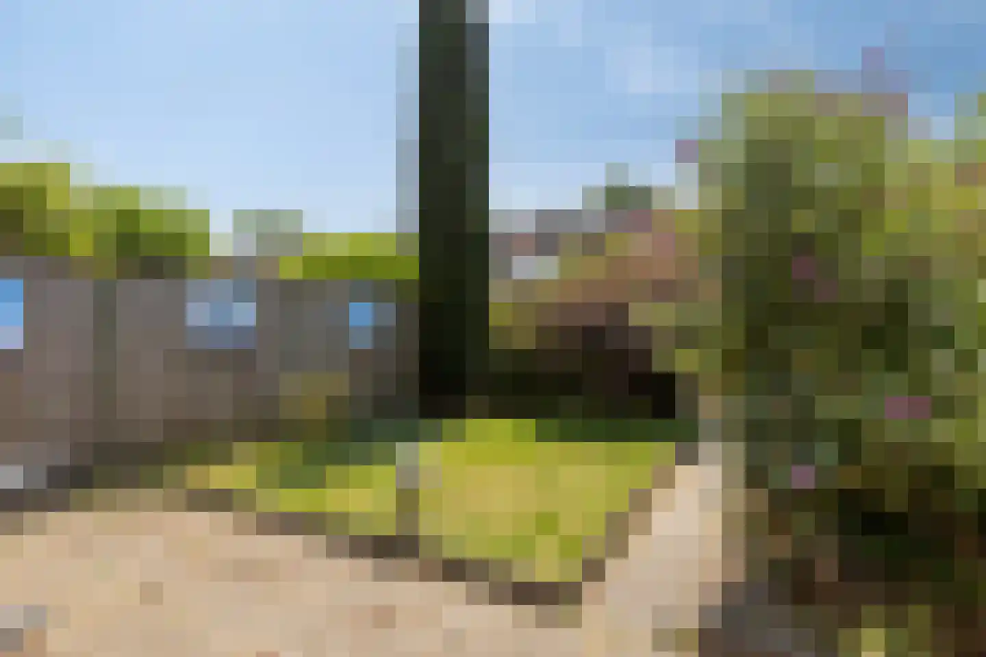 Maximiliaanstraat 27 Eindhoven thumbnail 28