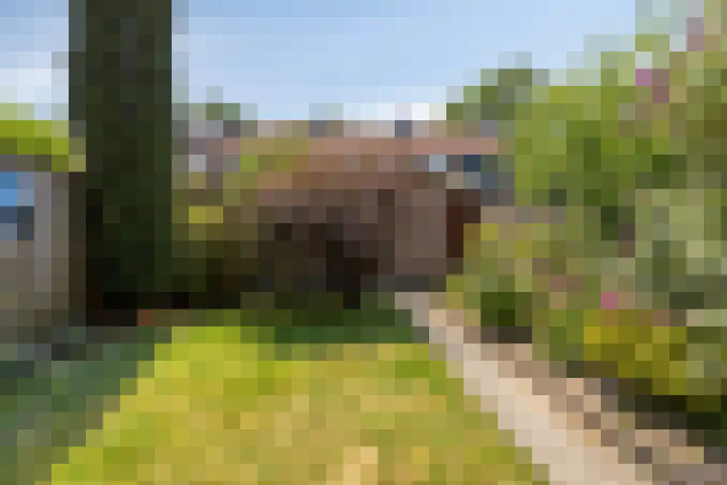 Maximiliaanstraat 27 Eindhoven thumbnail 29