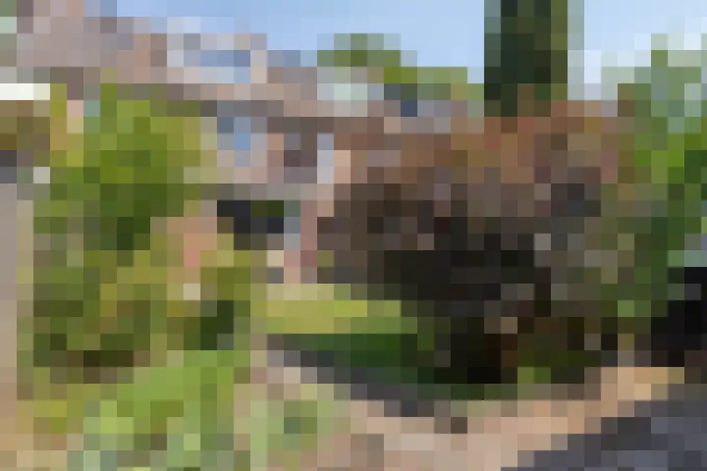 Maximiliaanstraat 27 Eindhoven thumbnail 30