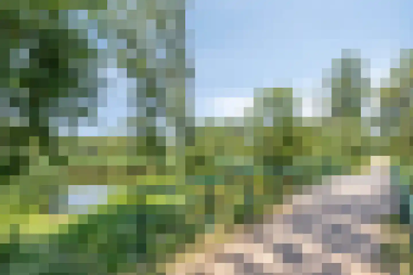 Maximiliaanstraat 27 Eindhoven thumbnail 35