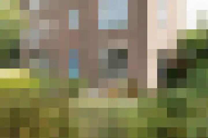 Maximiliaanstraat 38 's-Hertogenbosch thumbnail 46