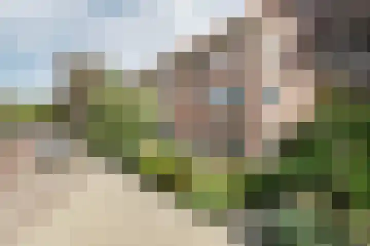 Maximiliaanstraat 38 's-Hertogenbosch thumbnail 47