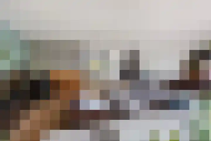 Maximiliaanstraat 9 Numansdorp thumbnail 11