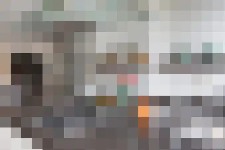 Maximiliaanstraat 9 Numansdorp thumbnail 15