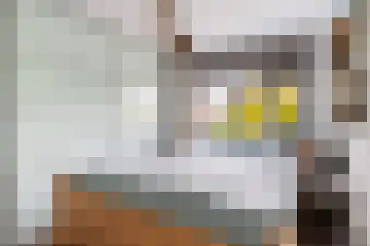 Maximiliaanstraat 9 Numansdorp thumbnail 20