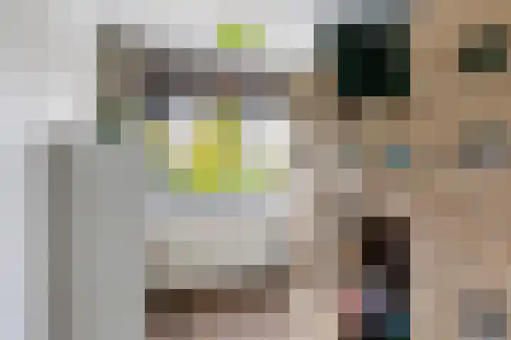 Maximiliaanstraat 9 Numansdorp thumbnail 21