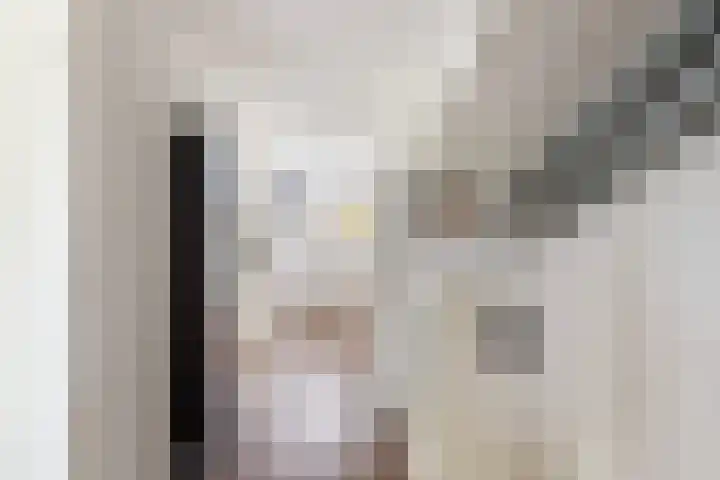 Maximiliaanstraat 9 Numansdorp thumbnail 26