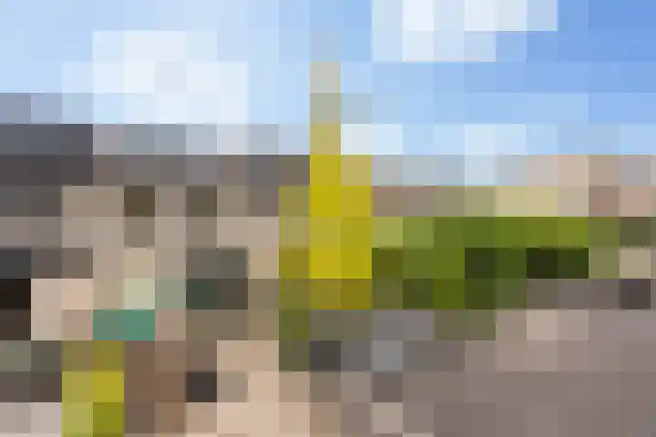 Maximiliaanstraat 9 Numansdorp thumbnail 33