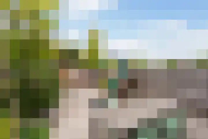 Maximiliaanstraat 9 Numansdorp thumbnail 34
