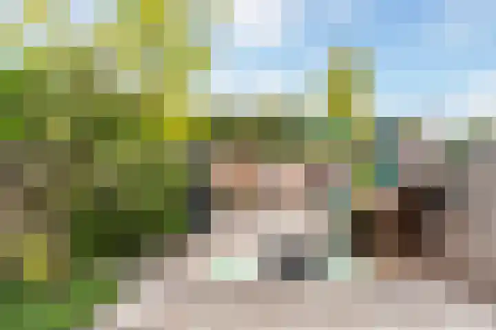 Maximiliaanstraat 9 Numansdorp thumbnail 35