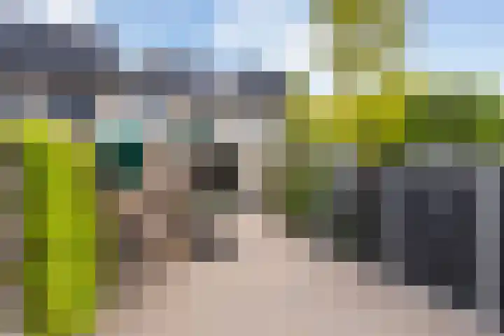 Maximiliaanstraat 9 Numansdorp thumbnail 36