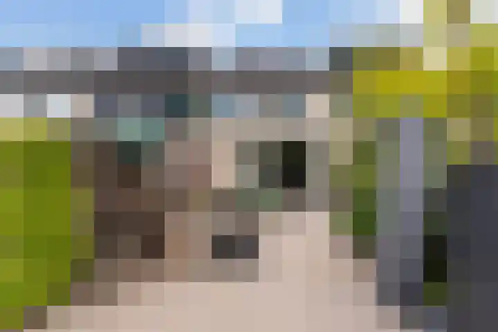 Maximiliaanstraat 9 Numansdorp thumbnail 37