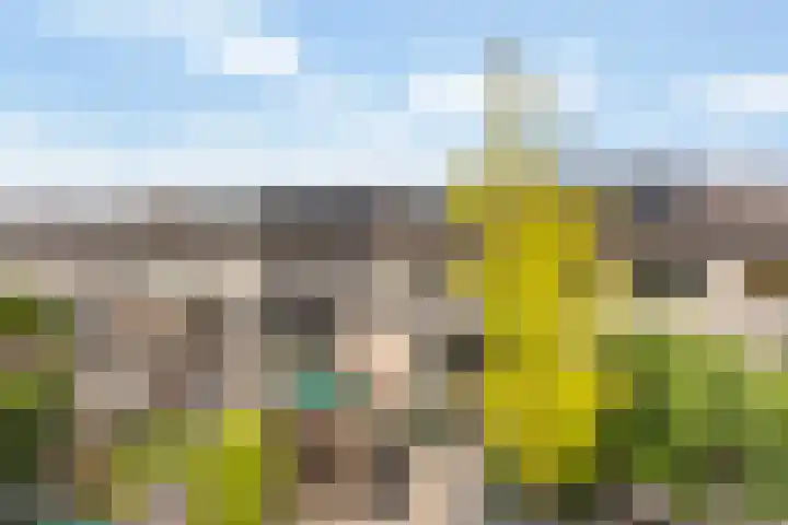 Maximiliaanstraat 9 Numansdorp thumbnail 39