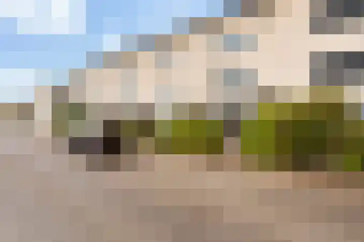 Maximiliaanstraat 9 Numansdorp thumbnail 40