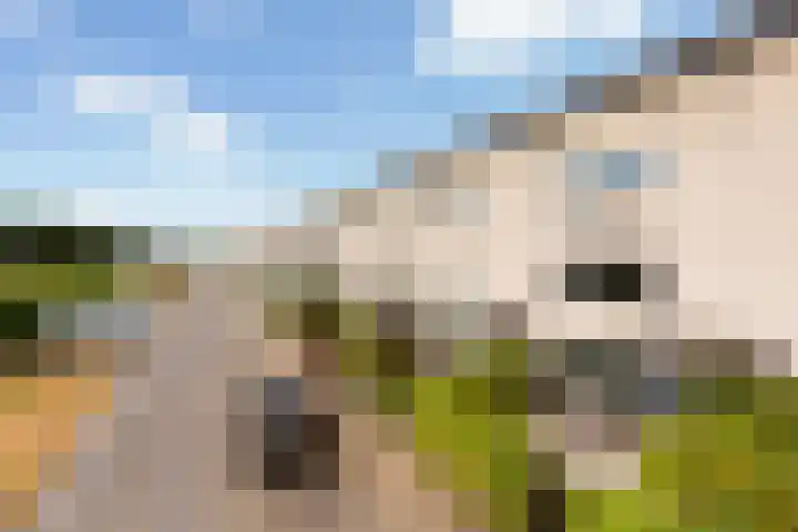 Maximiliaanstraat 9 Numansdorp thumbnail 41