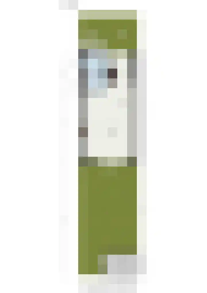 Maximiliaanstraat 9 Numansdorp thumbnail 49