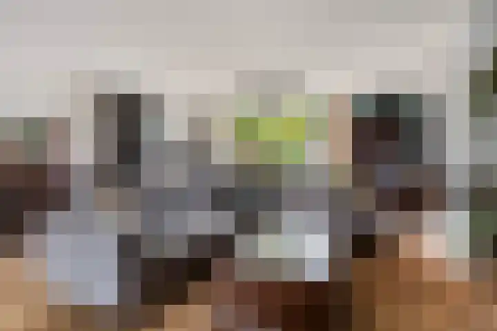 Maximiliaanstraat 9 Numansdorp thumbnail 8