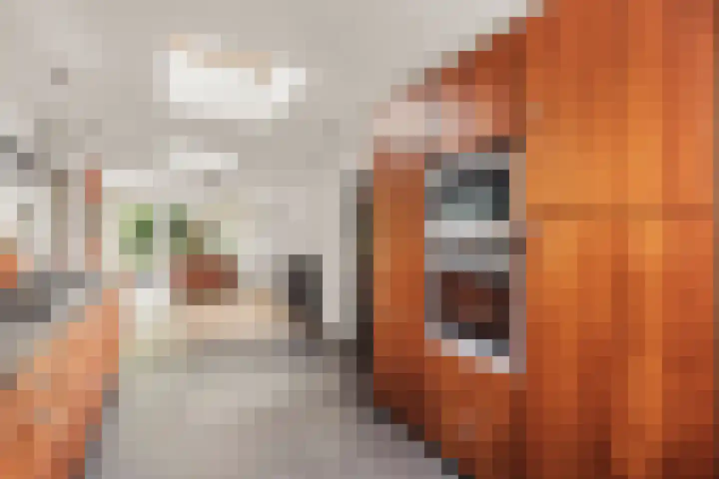 Maxwellstraat 8 Amsterdam thumbnail 29