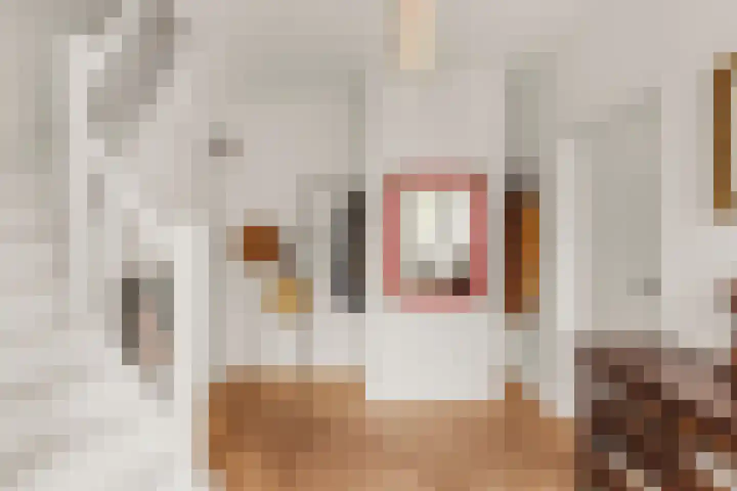 Maxwellstraat 8 Amsterdam thumbnail 30