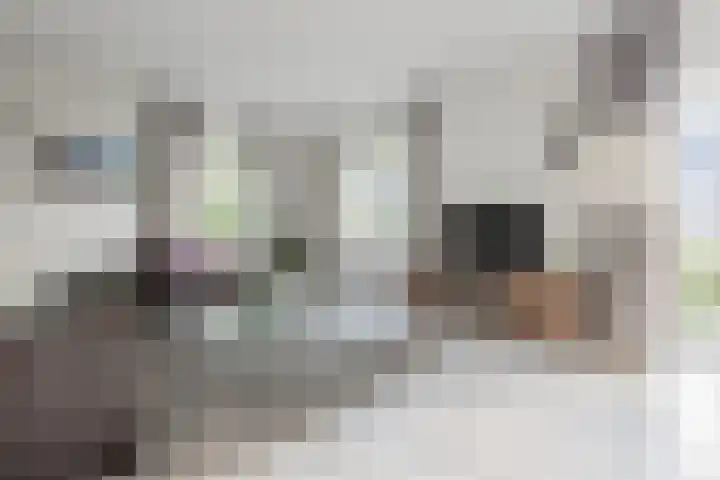 Mayersloot 10 Broek op Langedijk thumbnail 13