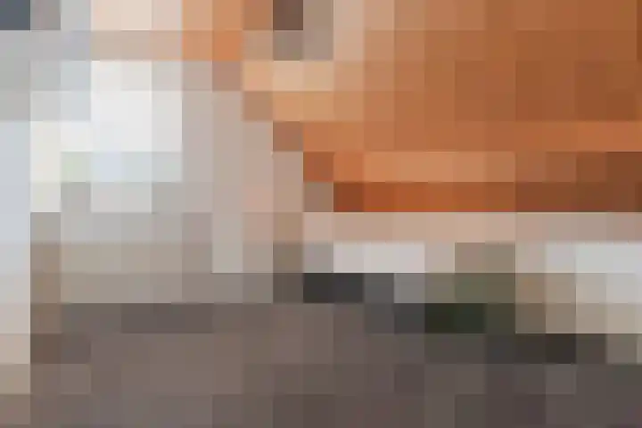 Mayersloot 10 Broek op Langedijk thumbnail 31
