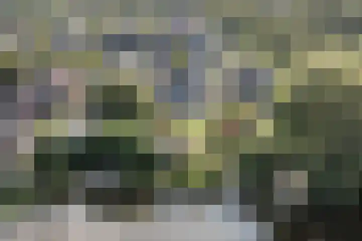 Mayersloot 10 Broek op Langedijk thumbnail 4