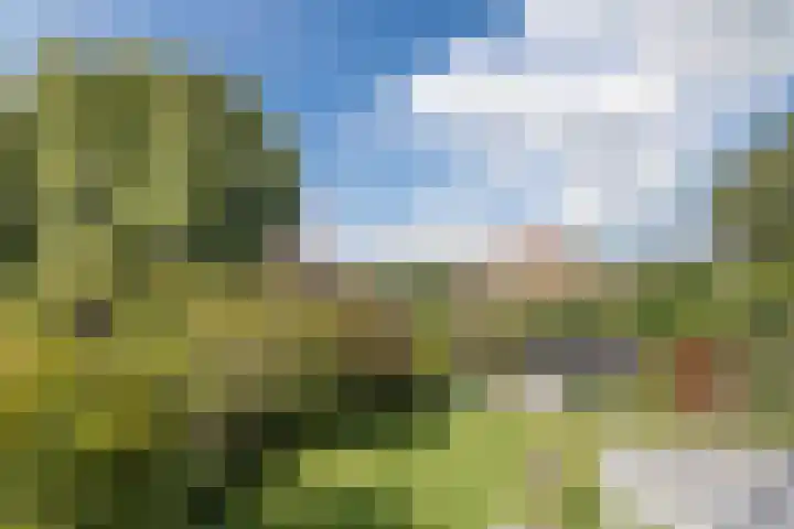 Mayersloot 10 Broek op Langedijk thumbnail 40