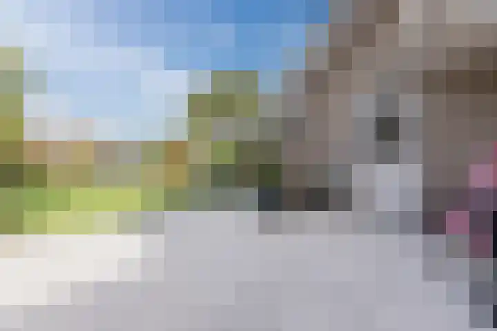 Mayersloot 10 Broek op Langedijk thumbnail 50
