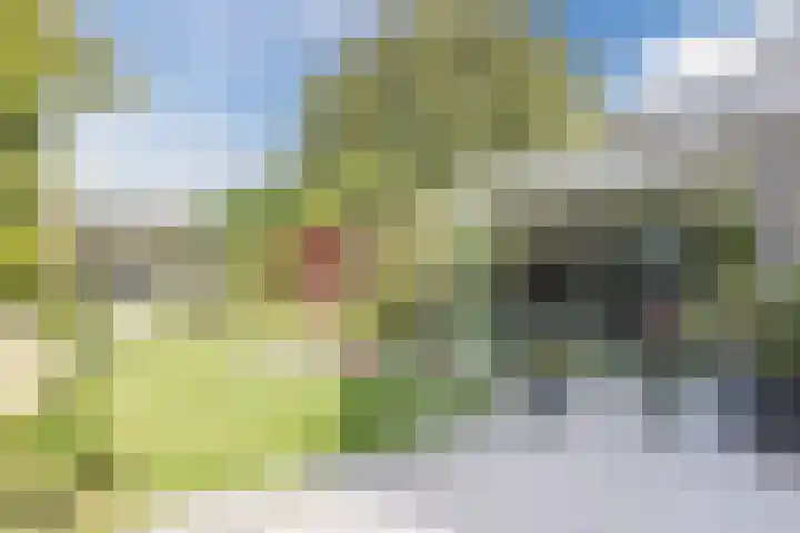 Mayersloot 10 Broek op Langedijk thumbnail 51