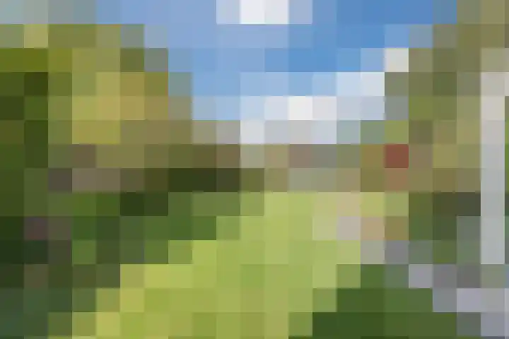 Mayersloot 10 Broek op Langedijk thumbnail 52