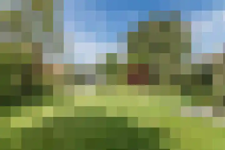 Mayersloot 10 Broek op Langedijk thumbnail 53