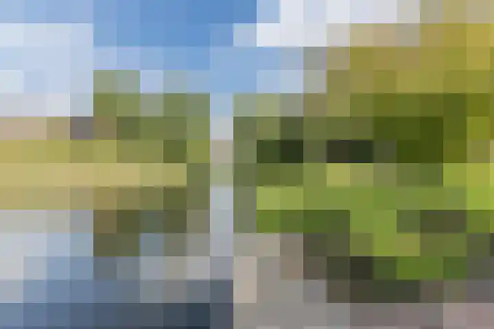 Mayersloot 10 Broek op Langedijk thumbnail 56