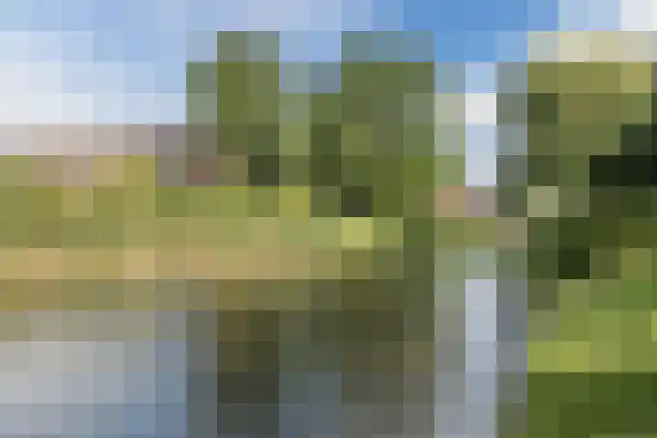 Mayersloot 10 Broek op Langedijk thumbnail 58