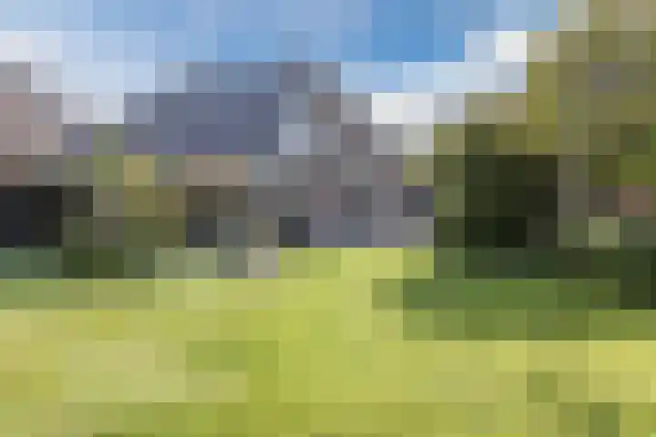 Mayersloot 10 Broek op Langedijk thumbnail 59