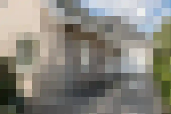 Mayersloot 10 Broek op Langedijk thumbnail 6