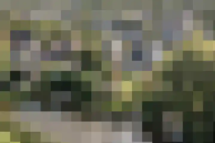 Mayersloot 10 Broek op Langedijk thumbnail 63