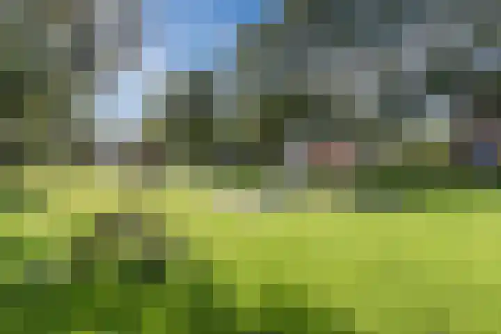 Mayersloot 10 Broek op Langedijk thumbnail 68