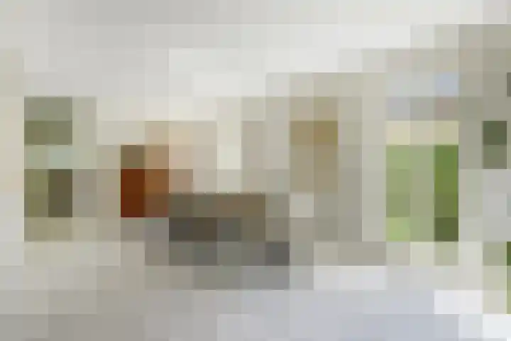 Mayersloot 12 Broek op Langedijk thumbnail 10