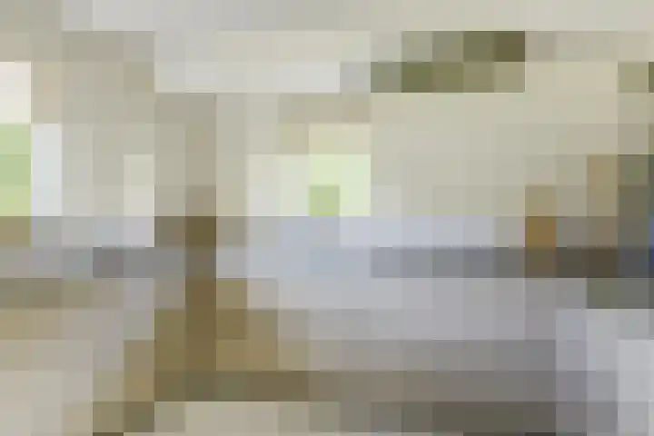 Mayersloot 12 Broek op Langedijk thumbnail 14