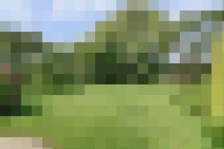 Mayersloot 12 Broek op Langedijk thumbnail 34